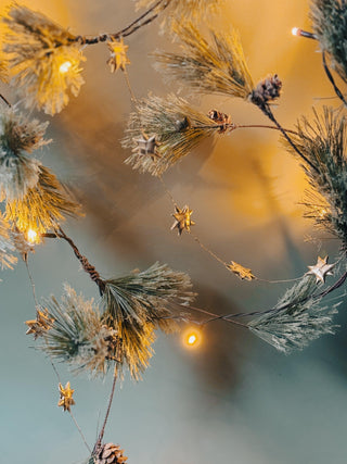 Starry Sky Soiree · Garland - Of The Vine