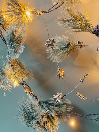 Starry Sky Soiree · Garland - Of The Vine